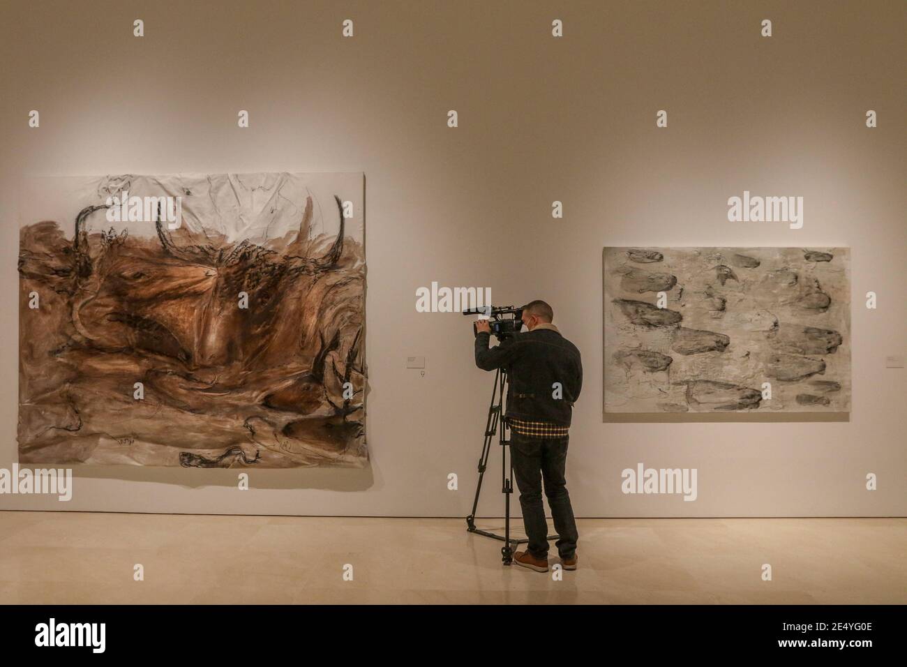 25 janvier 2021: 25 janvier 2021 (Malaga) Miquel Barcelo emmène sa 'métamorfose' au Musée Picasso, avec près d'une centaine d'œuvres réalisées en six ans.le Musée Picasso Malaga présente à partir de ce mercredi 27 janvier, l'exposition Miquel Barcelo. Métamorphose', qui tire son nom de l'histoire de Franz Kafka publiée en 1915, avec environ 100 œuvres faites entre 2014 et 2020 qui peuvent être envisagées jusqu'en septembre prochain. 30 céramiques, 13 peintures, 42 aquarelles, six carnets de voyage et une petite sculpture; ainsi qu'une installation composée de sept grandes bronzes qui ont été installés Banque D'Images