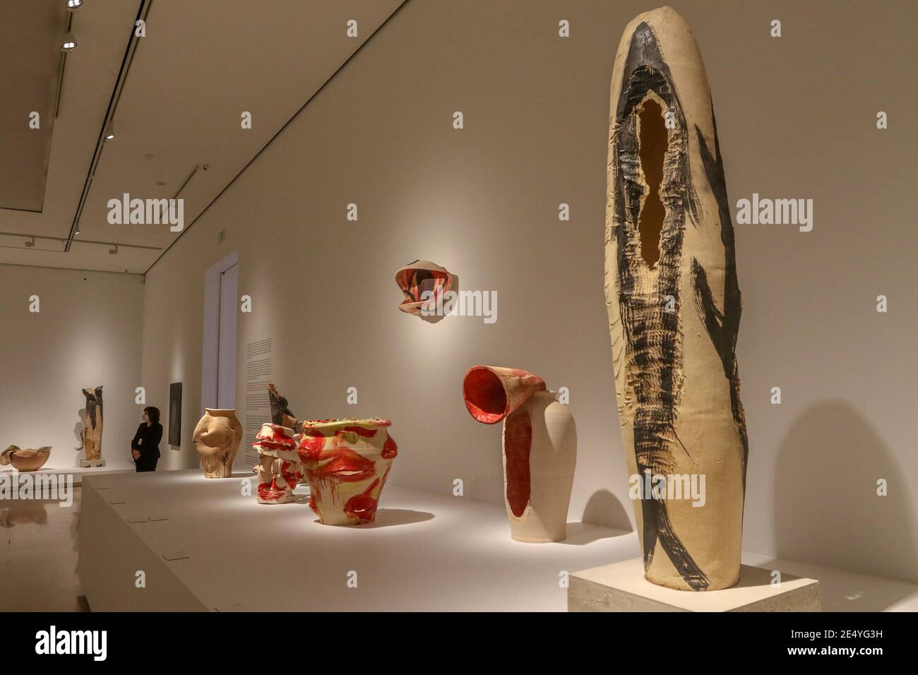 25 janvier 2021: 25 janvier 2021 (Malaga) Miquel Barcelo emmène sa 'métamorfose' au Musée Picasso, avec près d'une centaine d'œuvres réalisées en six ans.le Musée Picasso Malaga présente à partir de ce mercredi 27 janvier, l'exposition Miquel Barcelo. Métamorphose', qui tire son nom de l'histoire de Franz Kafka publiée en 1915, avec environ 100 œuvres faites entre 2014 et 2020 qui peuvent être envisagées jusqu'en septembre prochain. 30 céramiques, 13 peintures, 42 aquarelles, six carnets de voyage et une petite sculpture; ainsi qu'une installation composée de sept grandes bronzes qui ont été installés Banque D'Images