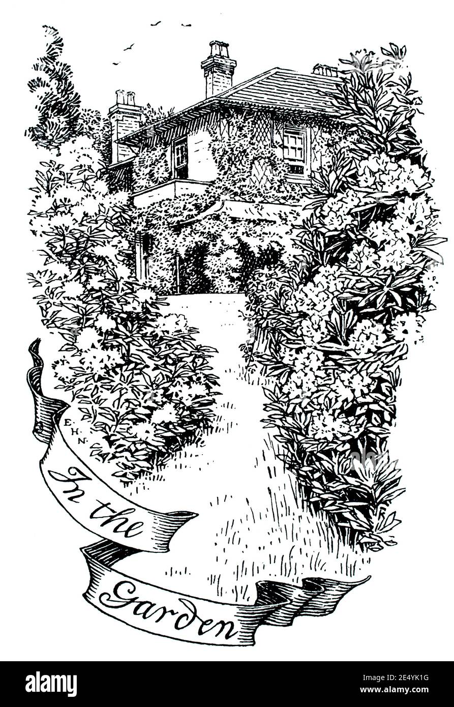 Dans le jardin, illustration de ligne par Edmund Hort (EH) Nouveau, en 1897 le Studio un magazine illustré d'art fin et appliqué Banque D'Images