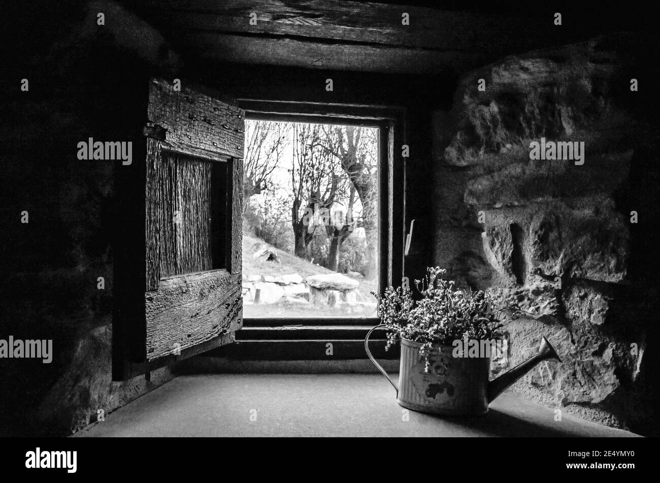 Photo en niveaux de gris d'un panneau de fenêtre rustique, avec un volet en bois Banque D'Images