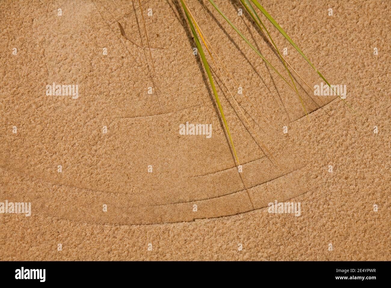 Motifs de sable provenant de graminées balayées par le vent, parc national de Jockeys Ridge, OBX, NC Banque D'Images