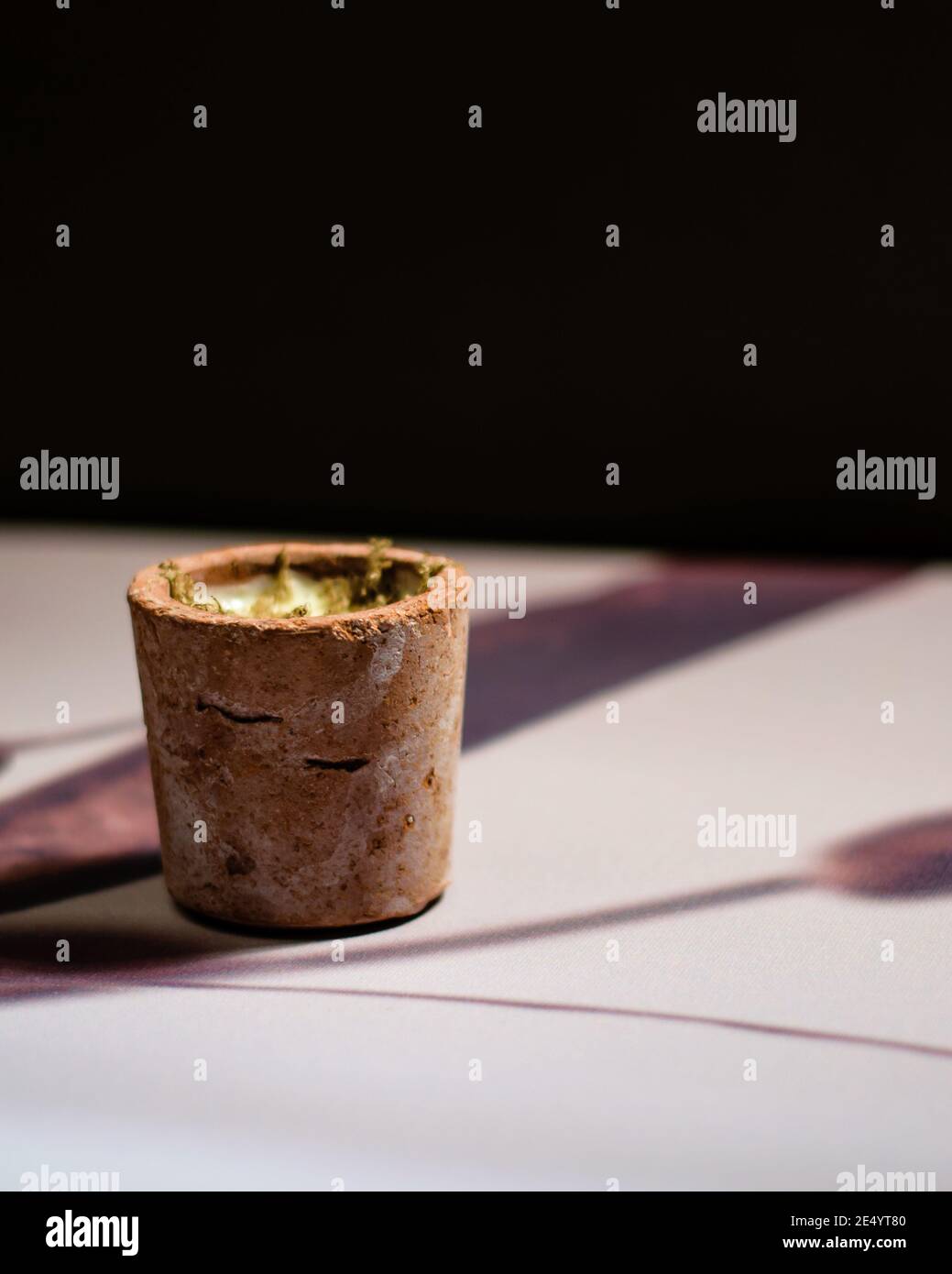 Soupe de truffes dans un petit bol rustique dans un restaurant Banque D'Images