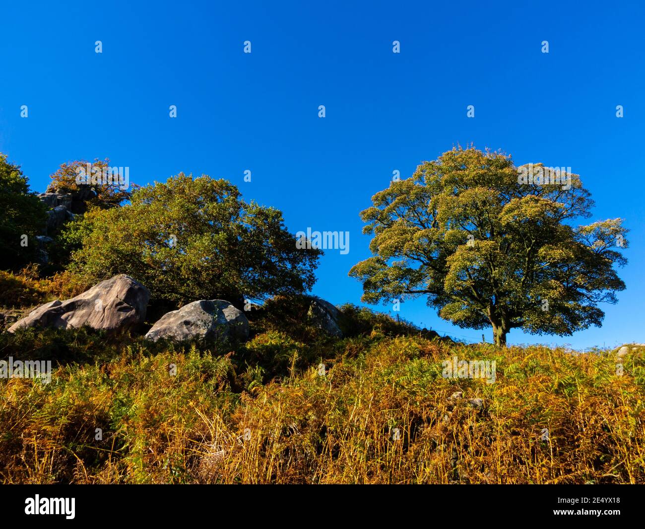 Des pierres à la foulée de Robin Hood ou à la maison de Mock Beggar A. Formation de roches près de Birchover dans le parc national de Peak District Derbyshire Dales Angleterre Royaume-Uni Banque D'Images