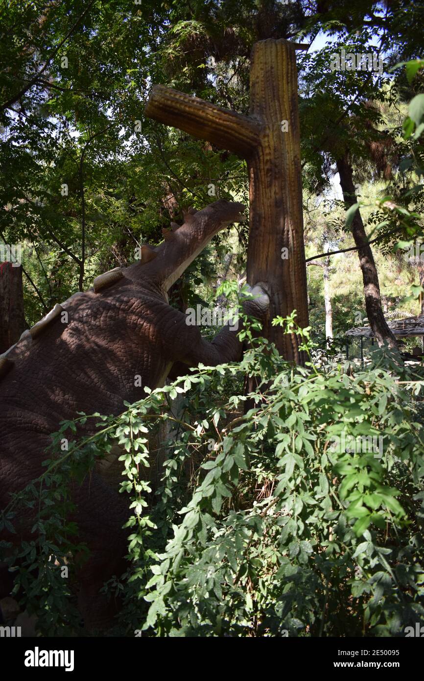 Statue de dinosaure dans le parc forestier dans la nature pour le fond. Wuerlosaurus - Jurassique précoce, il y a 155-150 millions d'années. Dans le Dinopark. Turquie, Goynuk Banque D'Images