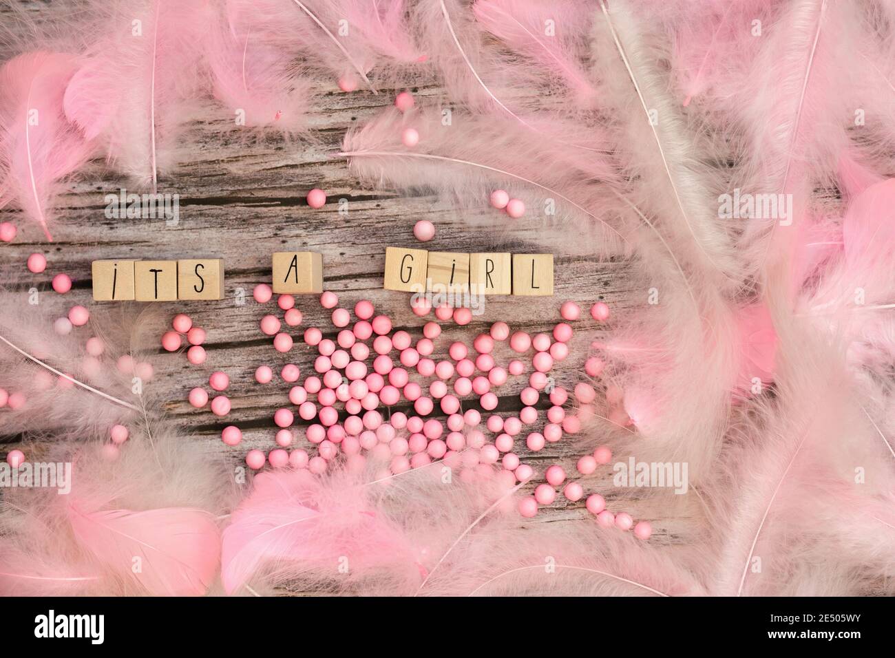 Son Texte A Girl Sur Texture De Fond En Bois Avec Des Plumes Roses Pour Bebe Invitation Douche Ou Nouveau Ne Annonce De Fille Carte De Voeux Vue De Dessus Photo Stock