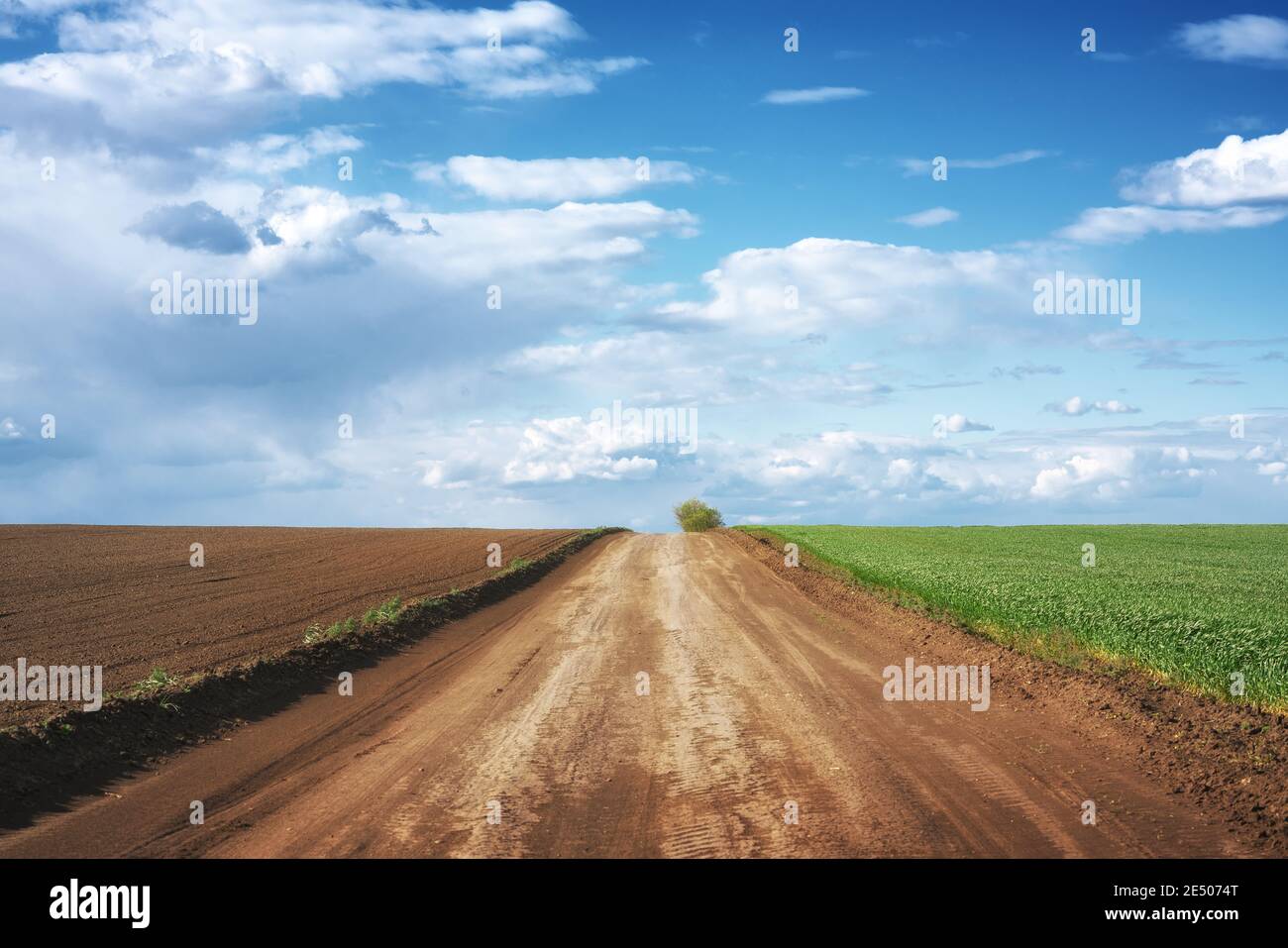 Paysage de la route de campagne et de beaux nuages Banque D'Images