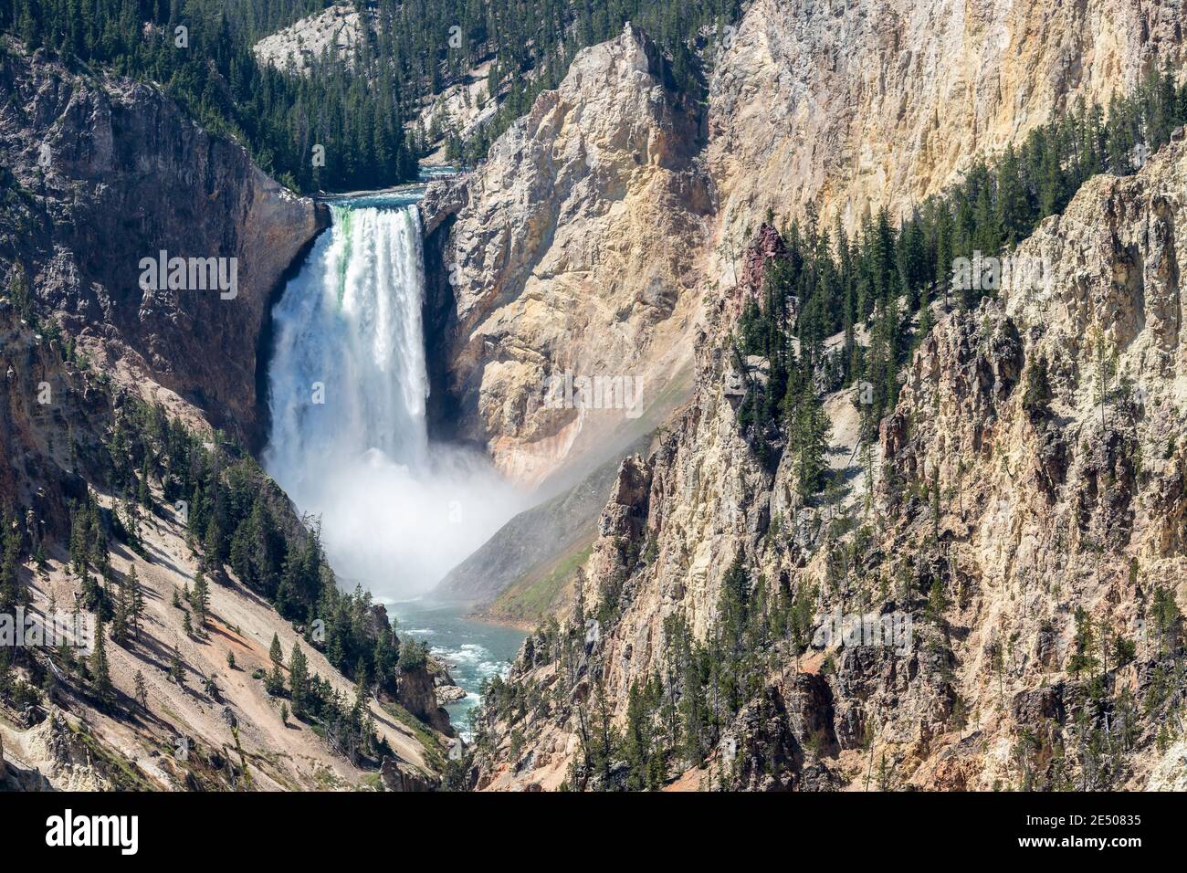 Lower Falls depuis Artist's point, Grand Canyon of the Yellowstone, parc national de Yellowstone, Wyoming, États-Unis Banque D'Images