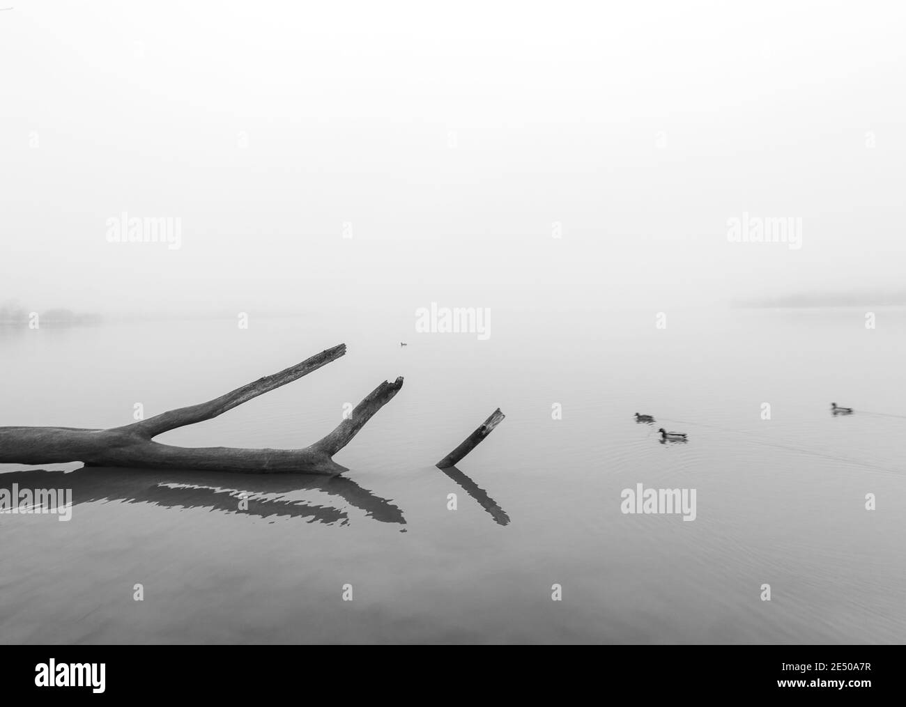 Lac brumeux Banque D'Images