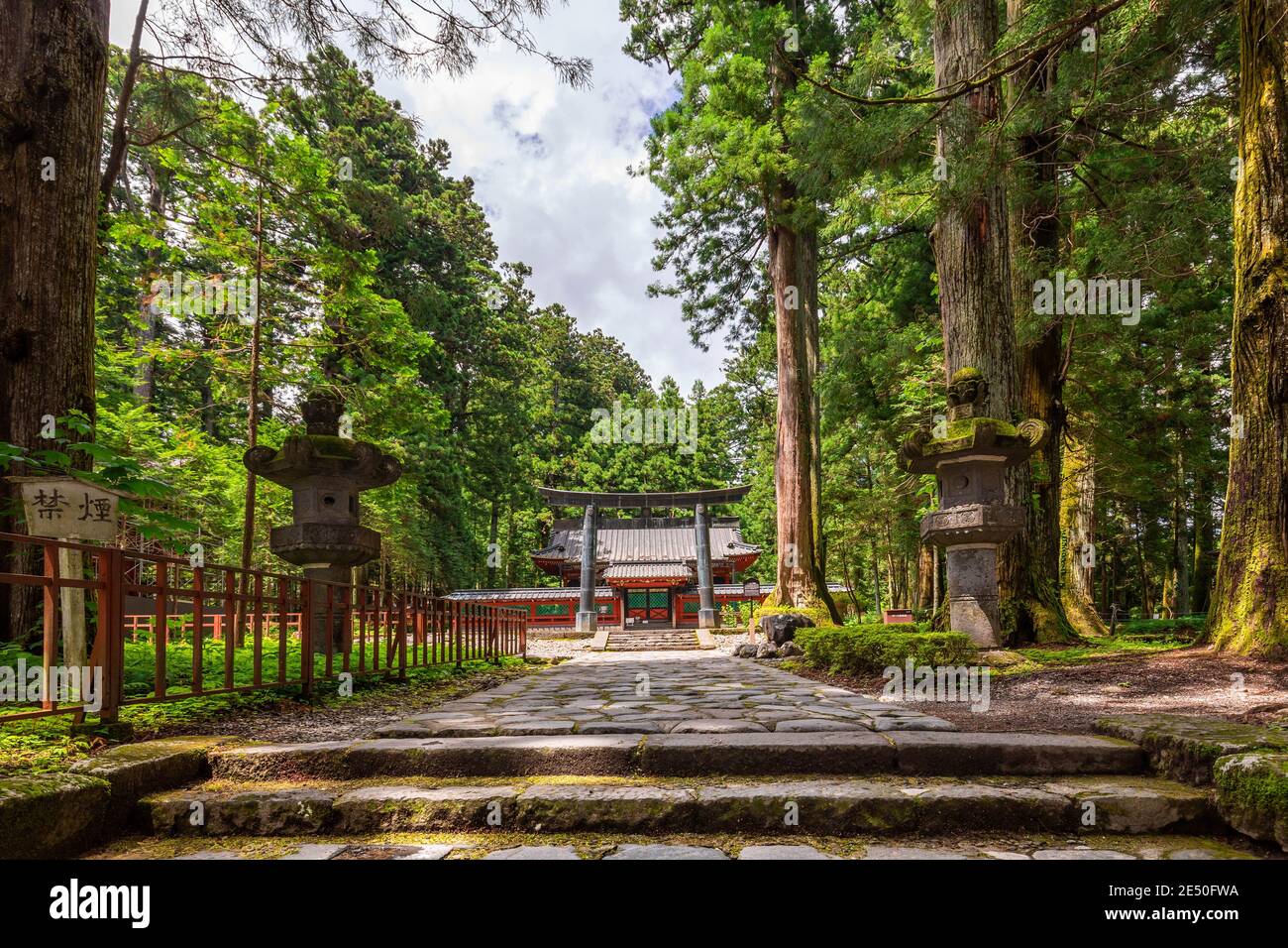 photo grand angle d'un chemin en pierre menant à un temple de pagode rouge entouré d'arbres, avec une grande porte en bronze de torii devant lui Banque D'Images