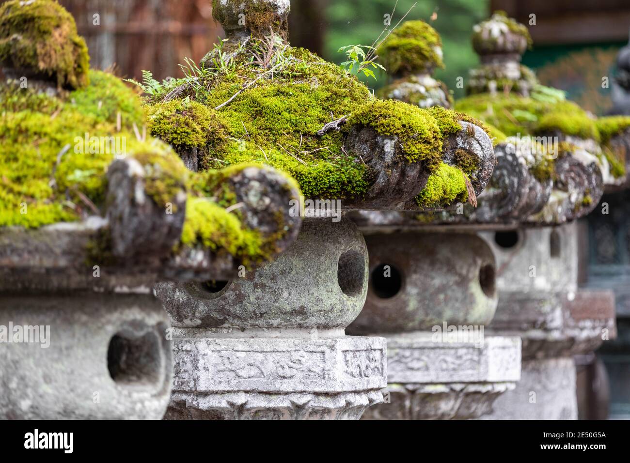 Gros plan d'une rangée de lanternes votives en pierre japonaises recouvertes de mousse et altérées, sur fond de bokeh Banque D'Images