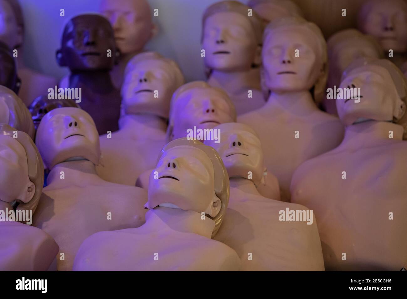 Journée de formation des bénévoles de l'Ambulance St John apprendre à administrer le vaccin contre le coronavirus, à se laver les mains, à mettre en place l'EPI, à comprimer la poitrine Banque D'Images