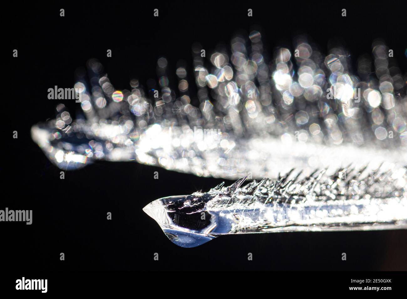 macro cristaux de glace Banque D'Images