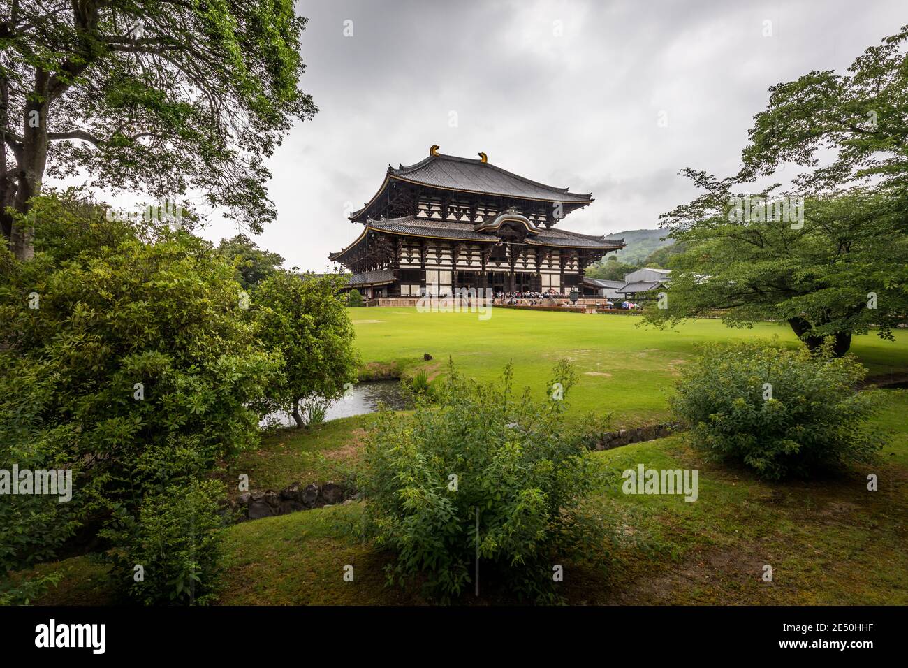 Vue panoramique sur le temple Todai-ji et son vert environnement dans un jour pluvieux d'été Banque D'Images