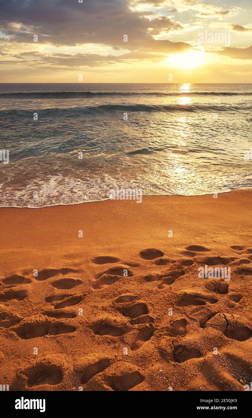 Plage tropicale à un beau coucher de soleil doré. Banque D'Images