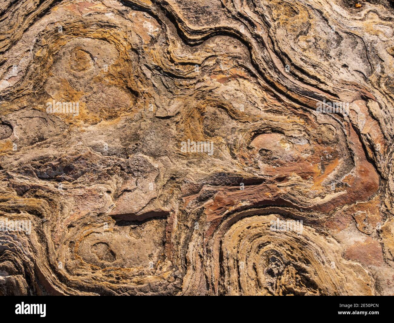 surface texturée marron orange et marron clair sur fond de roche Banque D'Images