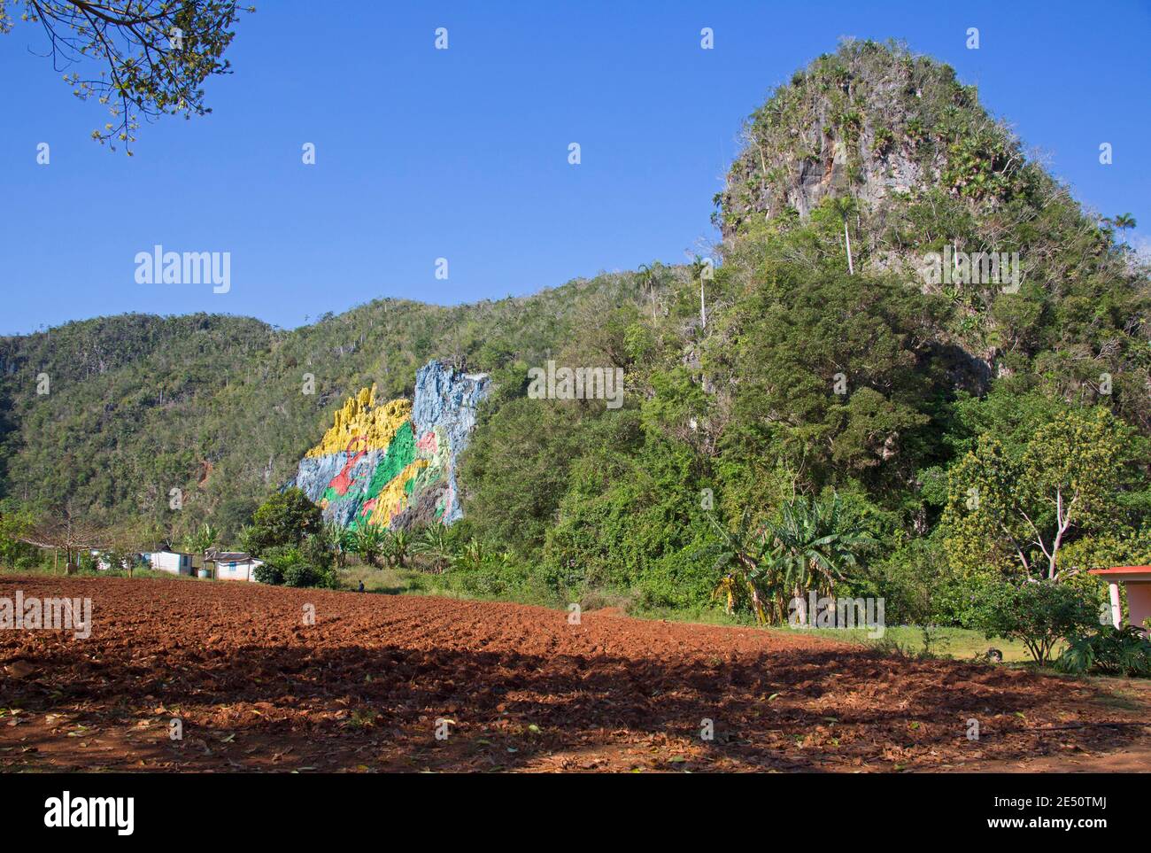 Murale de la Préhistoire, mur préhistorique, par Leovigildo Gonzalez, Vallée de Vinales, Pinar del Rio, Cuba Banque D'Images