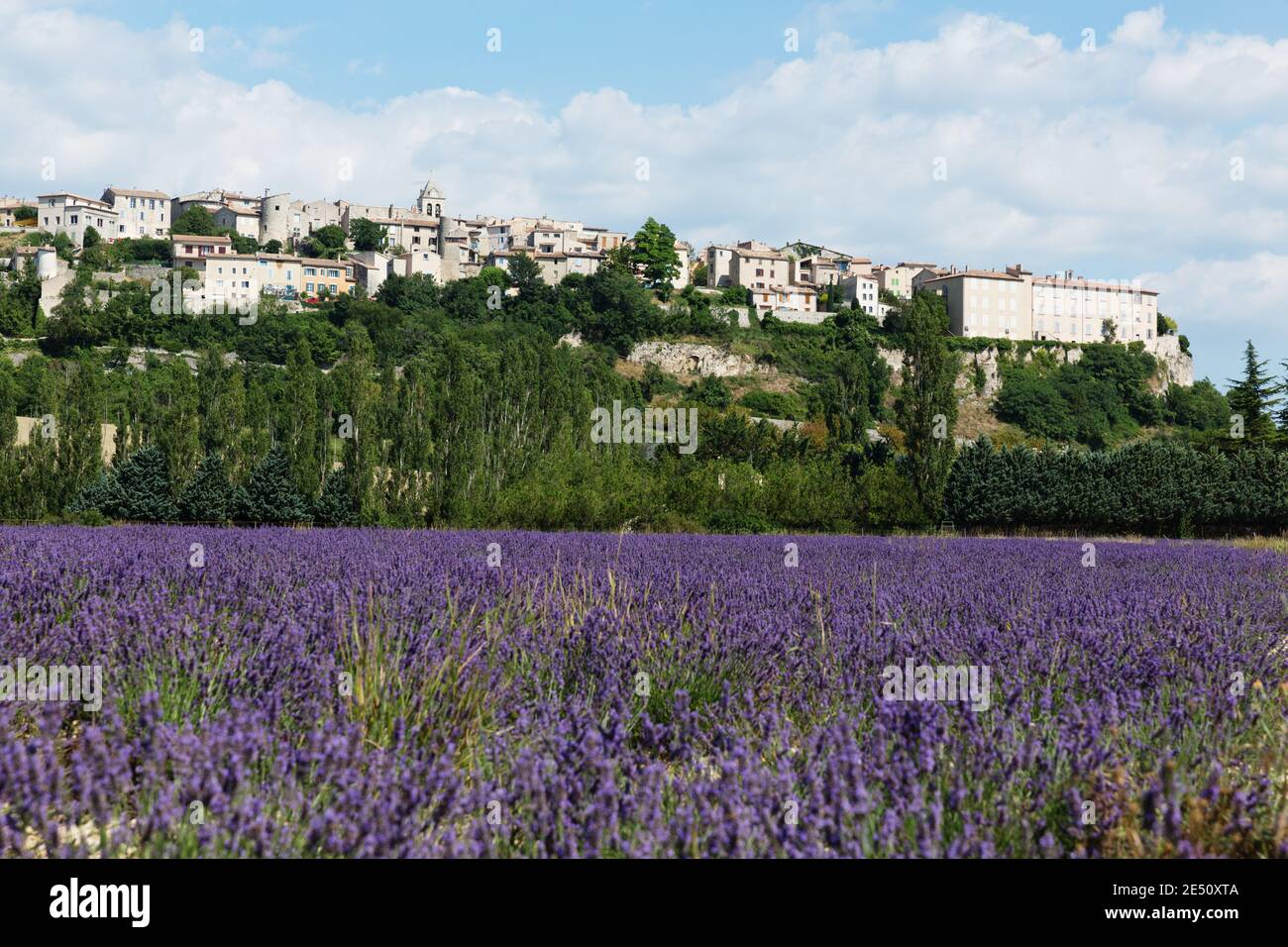 France Provence Sault le village de Sault au-dessus d'un champ De Lavande Banque D'Images