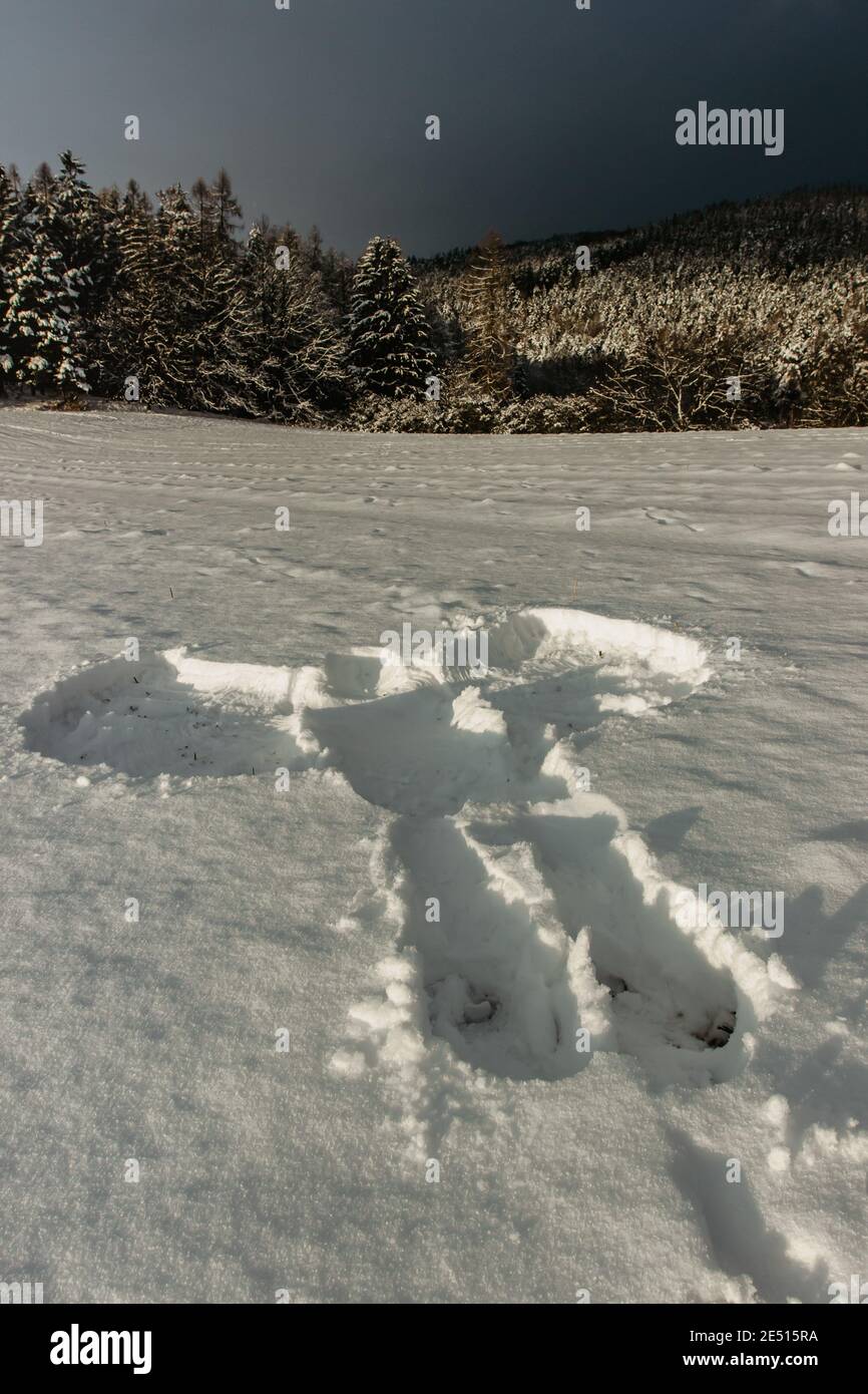 Ange de neige dans la neige fraîche. Trace du corps humain adulte dans le paysage d'hiver.impression de l'espace de copie de corps.scène de crime dans la nature, forme du corps neige Banque D'Images