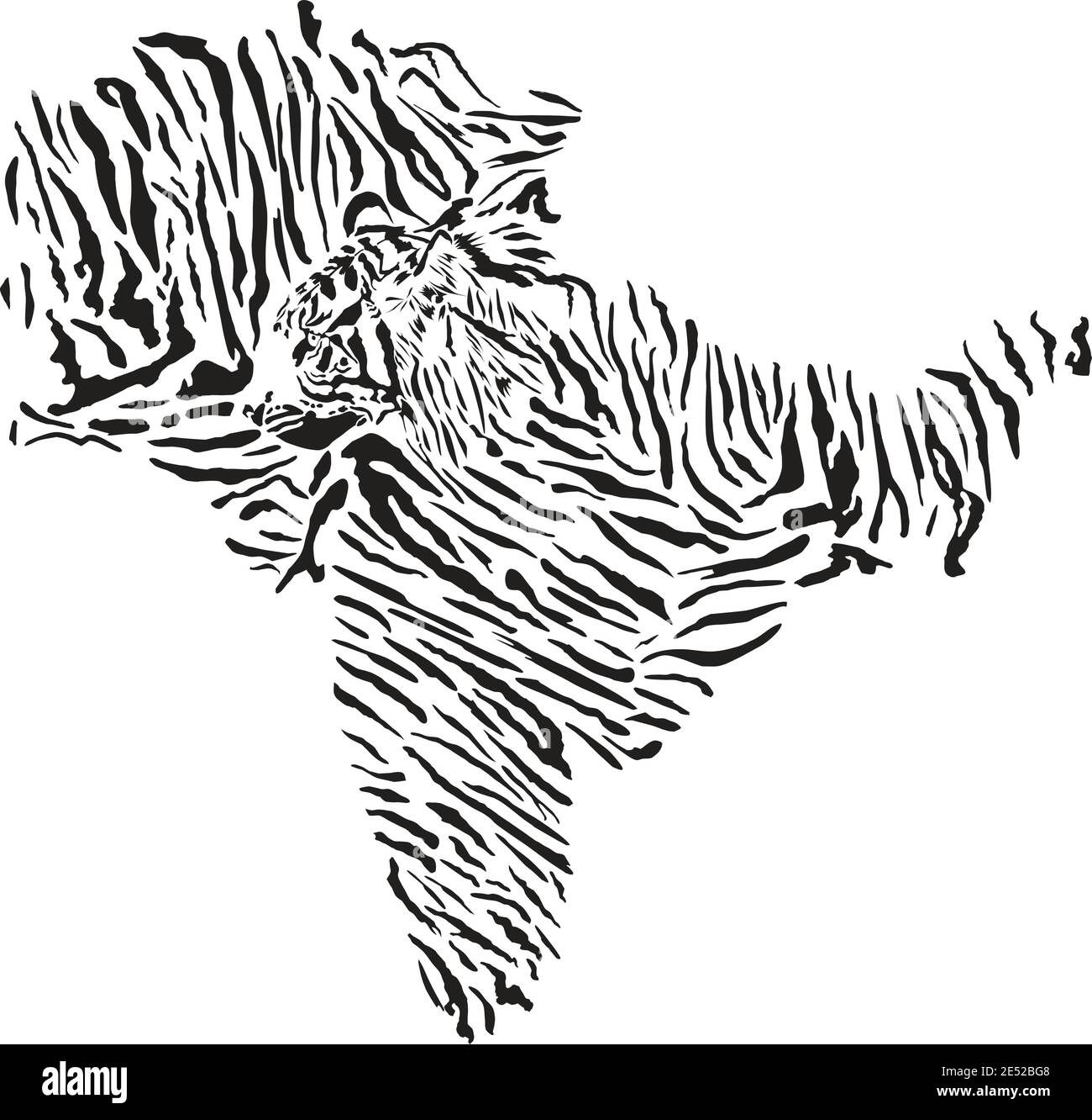 Carte du sous-continent indien avec fond de tigre Illustration de Vecteur