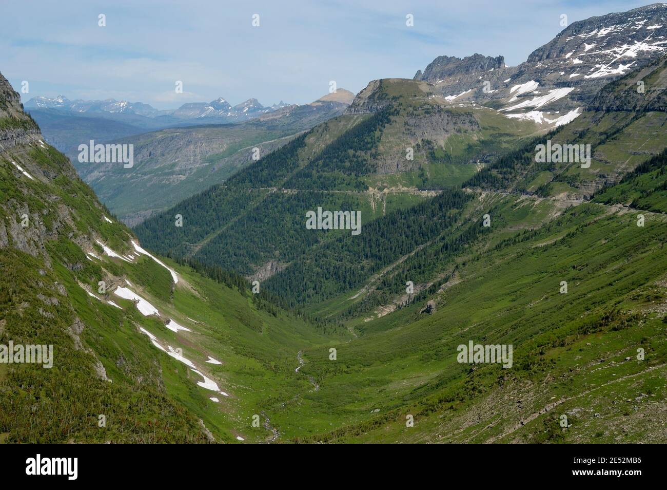 High Line Trail, Logan Pass, parc national des Glaciers, États-Unis 040710 1275 Banque D'Images