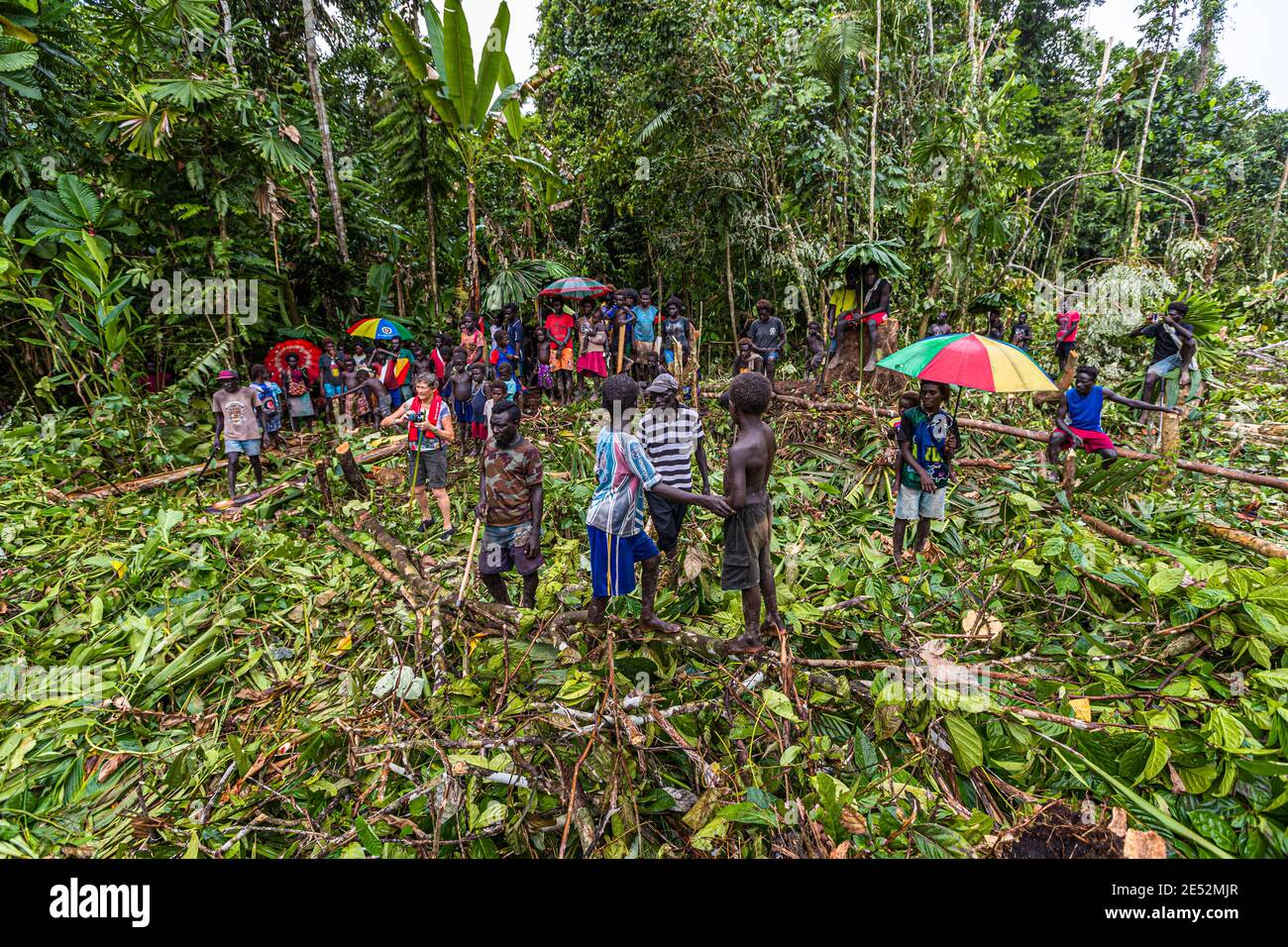 Hélicoptère dans la jungle de Bougainville Banque D'Images