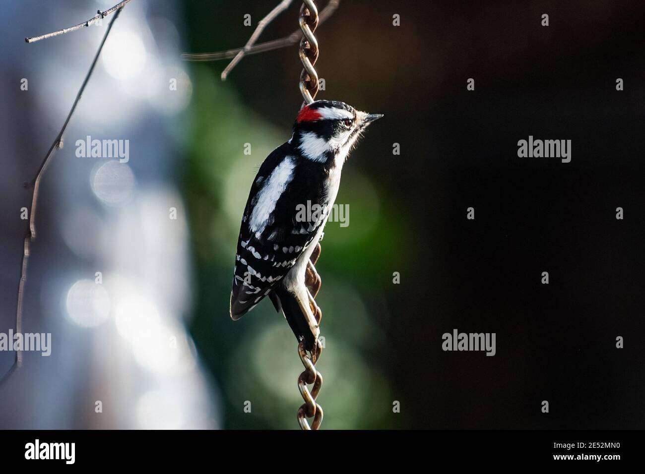 Pic mineur Banque D'Images