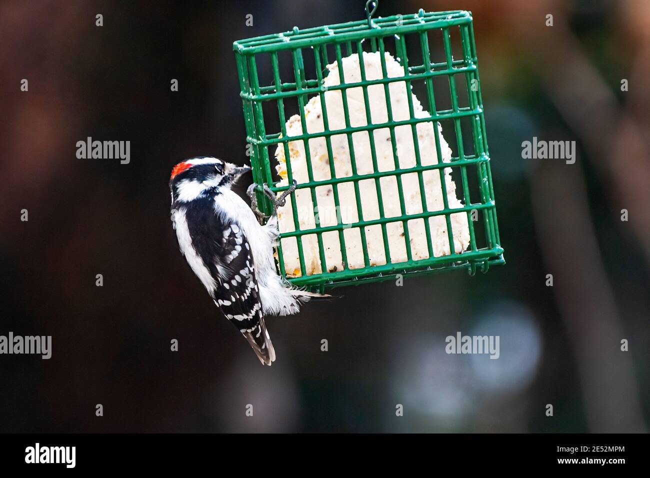 Pic mineur Banque D'Images