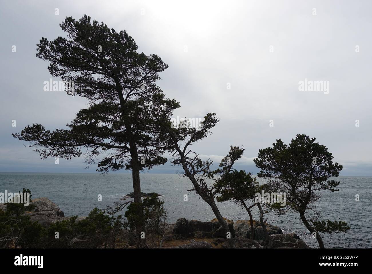 East Sooke Park sur l'île de Vancouver Banque D'Images