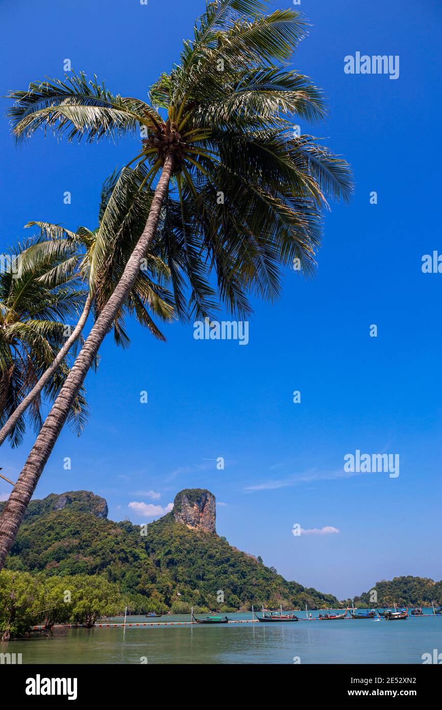 Vue panoramique sur la plage est de Railay, ville de Krabi, Thaïlande. Vue depuis l'ombre de l'arbre. Paysage avec plage de sable en premier plan et immense roo calcaire Banque D'Images