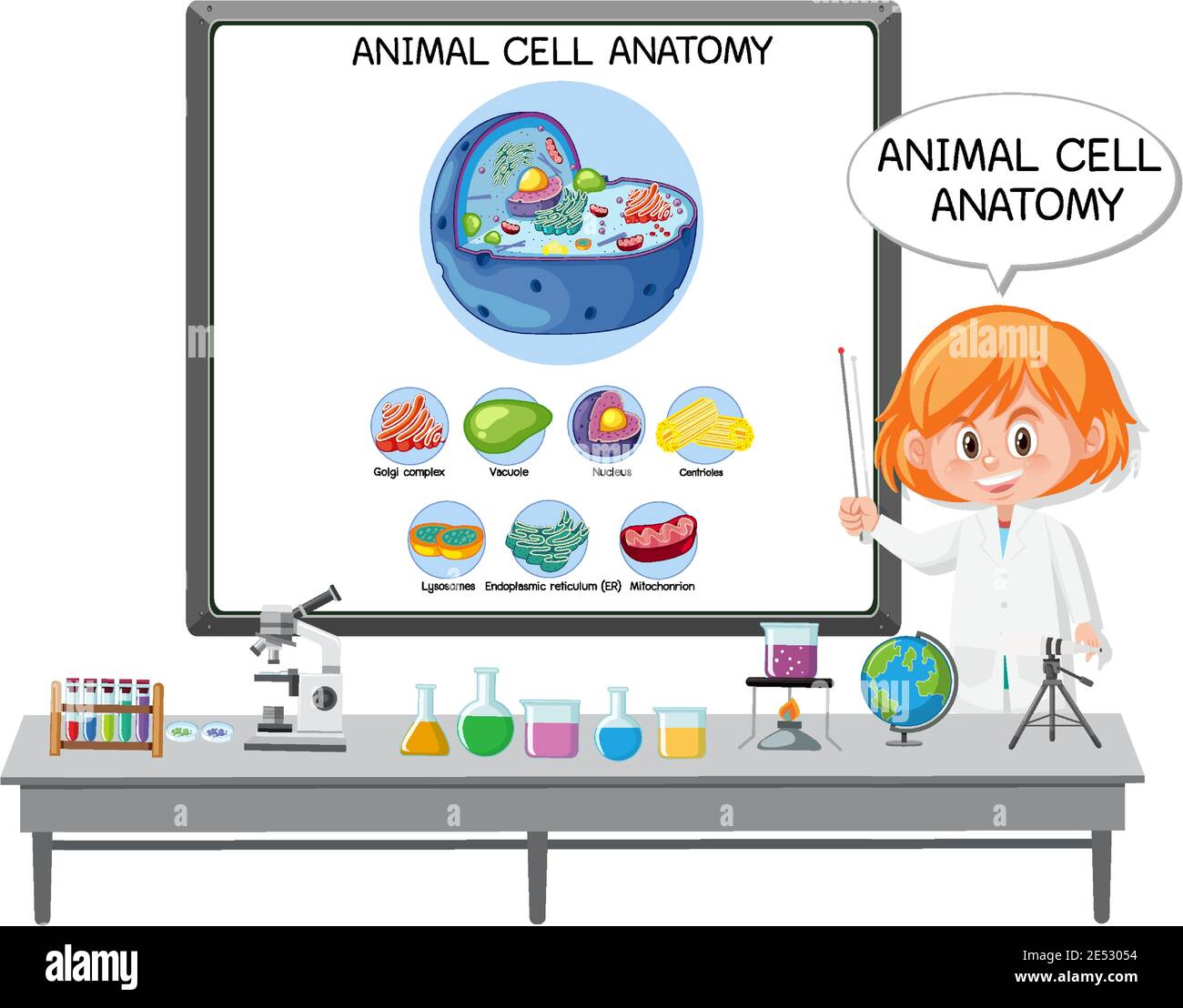 Un jeune scientifique explique l'anatomie de la cellule animale (Schéma de biologie) Illustration de Vecteur