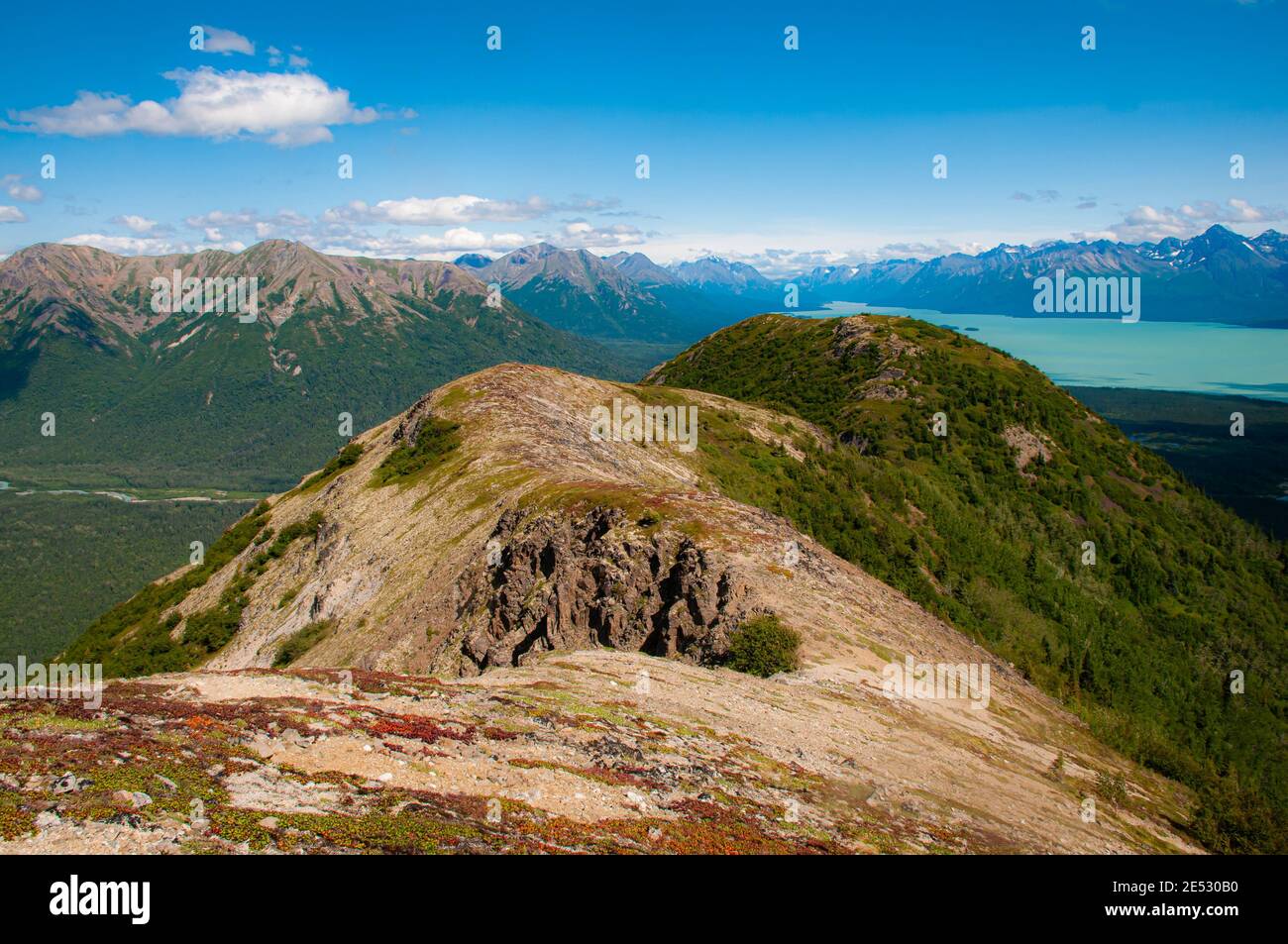 Vue panoramique sur le parc national du lac Clark, Alaska Banque D'Images