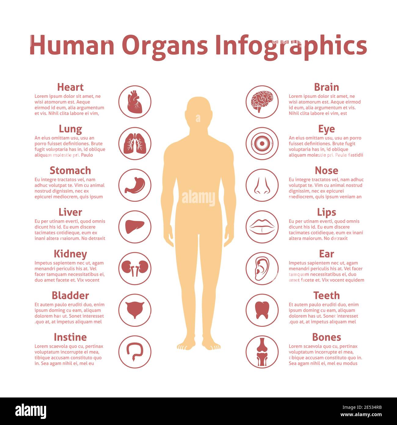 Icônes d'organes humains avec illustration vectorielle de jeu d'infographies de figure masculine Illustration de Vecteur