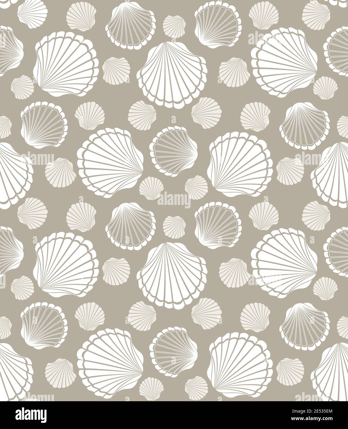 Pétoncle transparente motif coquillage de mollusques vector illustration Illustration de Vecteur