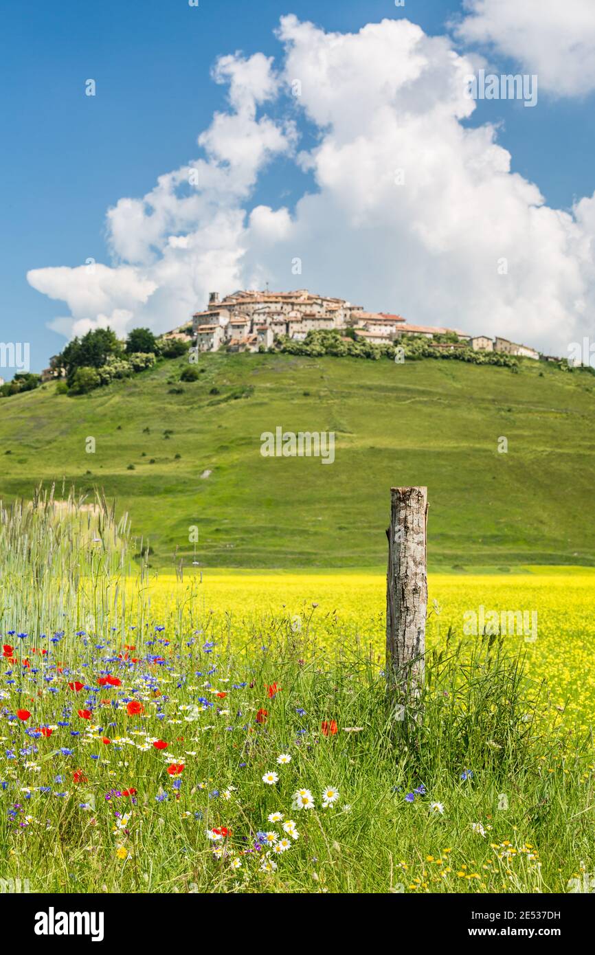 Paysage rural italien central, avec des fleurs et un poteau en bois au premier plan, des champs de lentilles et un village lointain au sommet d'une colline en arrière-plan Banque D'Images