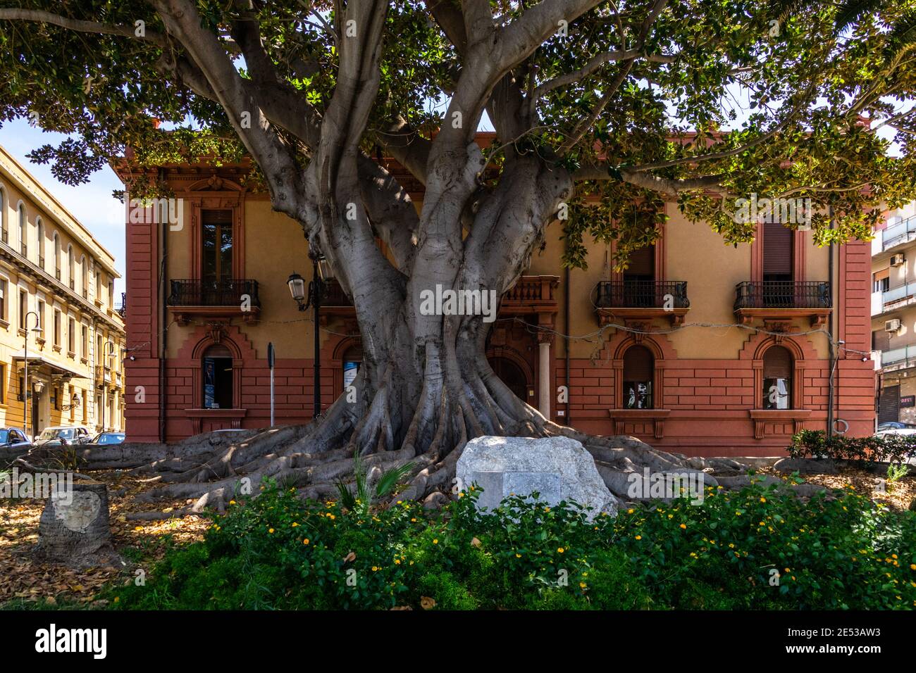 Un arbre séculaire en face d'un bâtiment de style Liberty (Art Nouveau) sur Lungomare Falcomatà, Reggio Calabria, Italie Banque D'Images