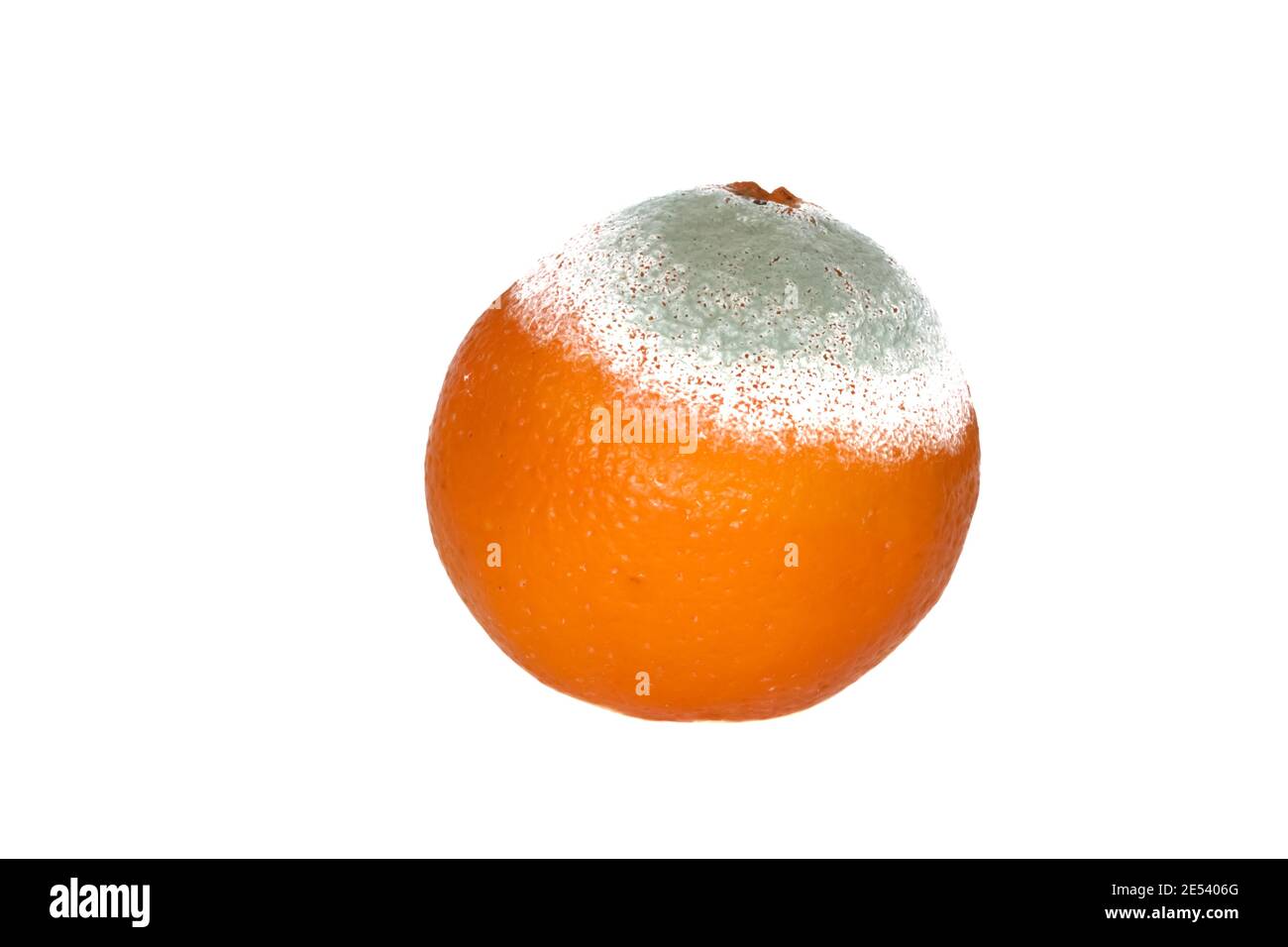 Orange moldy isolé sur fond blanc. Fruits pourris. Aliments malsains. Masque. Banque D'Images