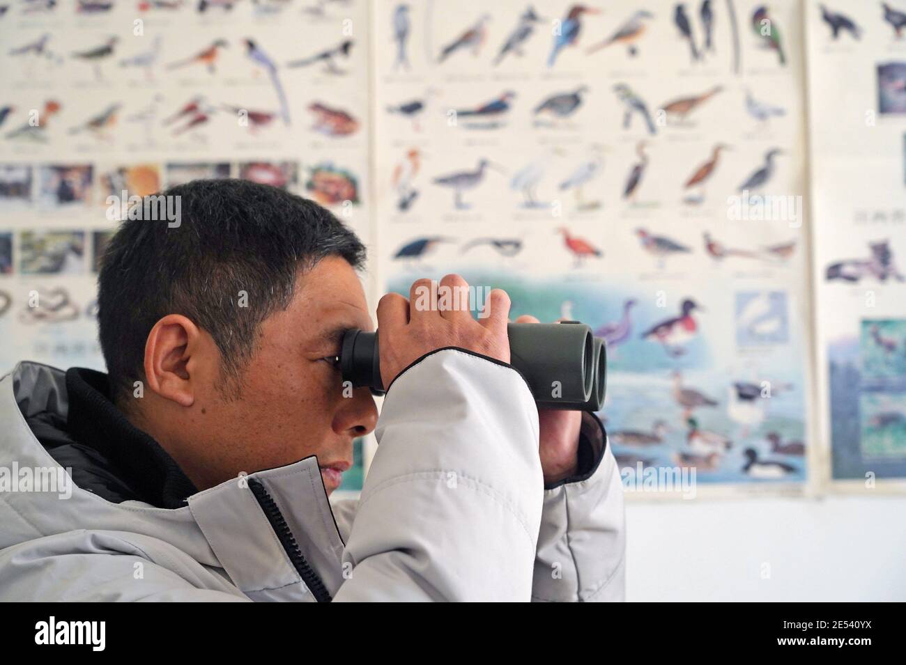(210126) -- NANCHANG, le 26 janvier 2021 (Xinhua) -- Wang Zhiru ajuste son télescope et se prépare à observer des grues blanches au Centre de sauvetage et de reproduction de la faune, dans la province de Jiangxi, dans l'est de la Chine, le 18 janvier 2021. Wang Zhiru, directeur du Centre de secours et de reproduction de la faune de la province de Jiangxi, et Kuang Shaoxiang, vétérinaire, ont rencontré la grue blanche 'AIAI' pour la première fois en avril 2018, lorsqu'elle a été trouvée et envoyée au centre par un villageois local. « quand je l'ai vu pour la première fois, la grue était si sale et ne pouvait même pas se tenir régulièrement à cause de la malnutrition à long terme. » Wang Zhiru a rappelé. Banque D'Images