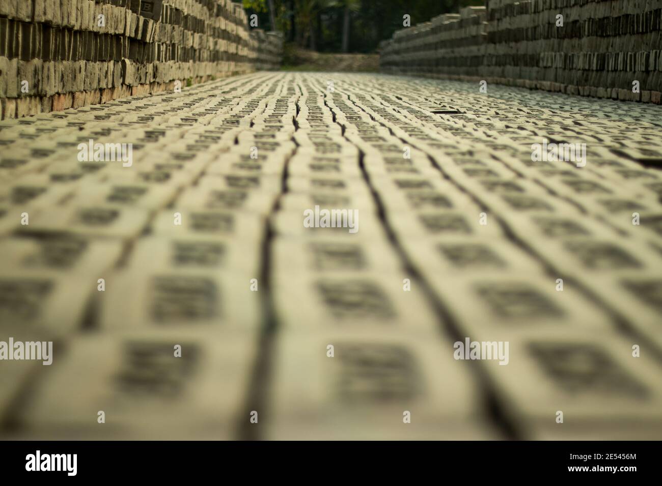 Une brique est un type de bloc utilisé pour construire des murs, des trottoirs et d'autres éléments dans la construction de maçonnerie Banque D'Images