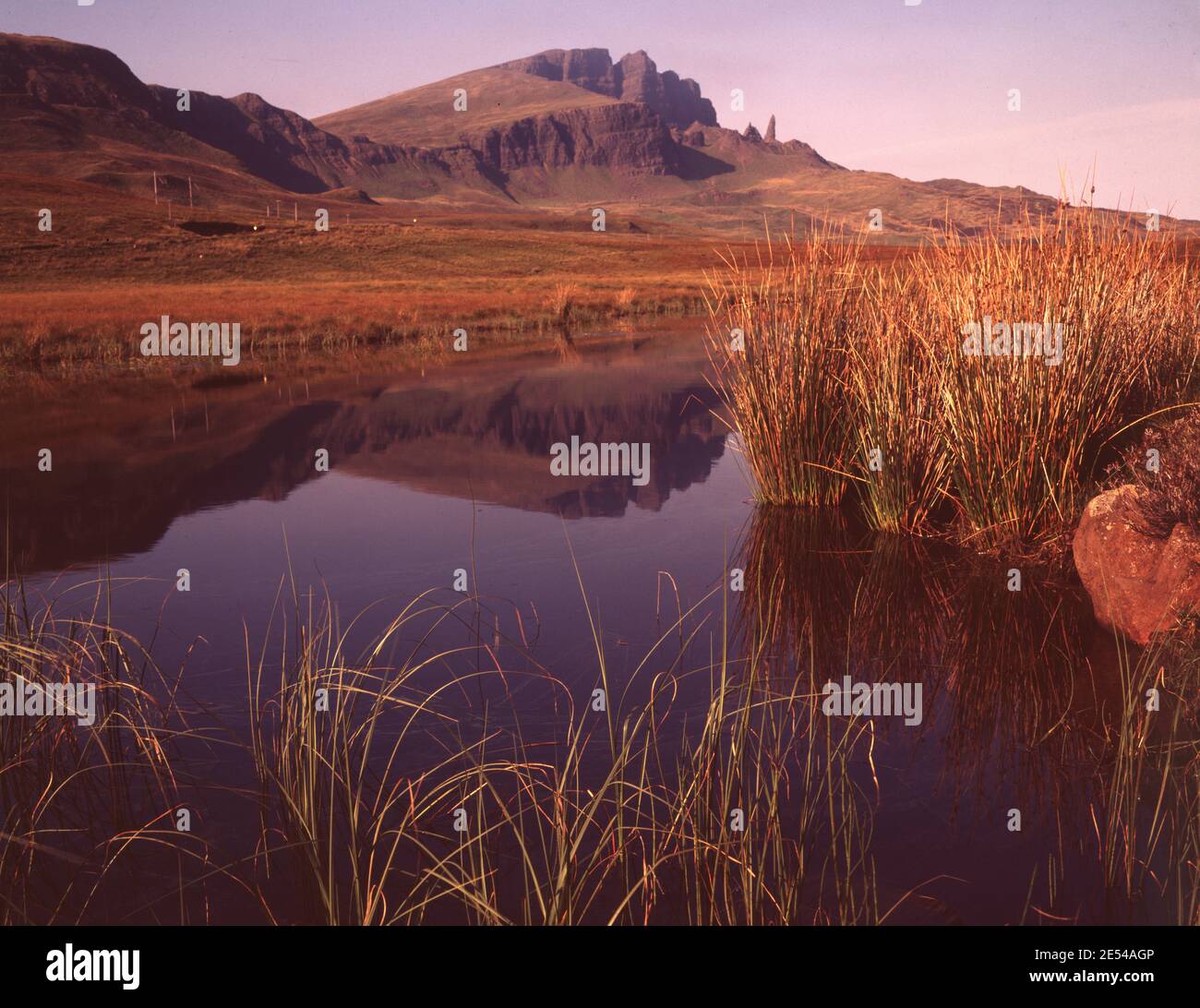 Ecosse, Skye. Loch Leatham et le rocher Storr sur la crête de Trottenish. Vers 1990. Photo de Tony Henshaw / Tom Parker Collection numérisée à partir d'une transparence originale de 5'x4' d'une archive unique et étonnante de la photographie originale des îles britanniques par le photographe Tom Parker. © World copyright. Banque D'Images