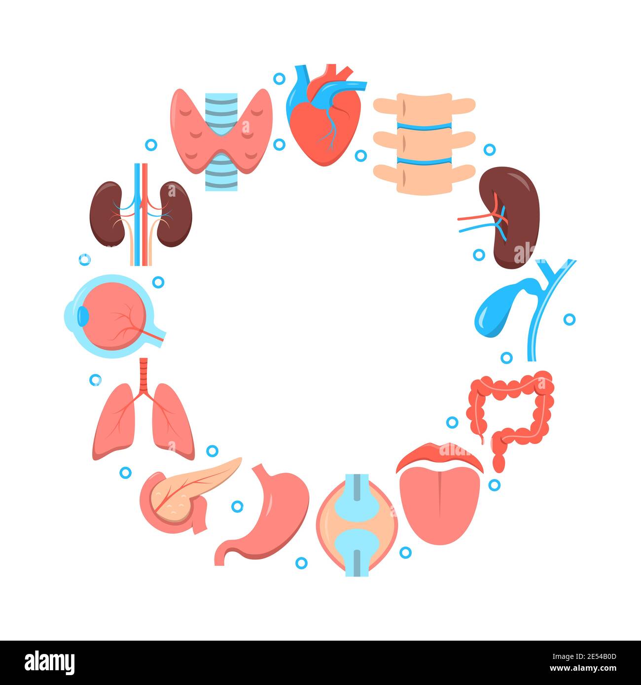 Affiche ronde médicale avec icônes des organes humains dans un style plat. Bannière scientifique. Illustration vectorielle. Illustration de Vecteur