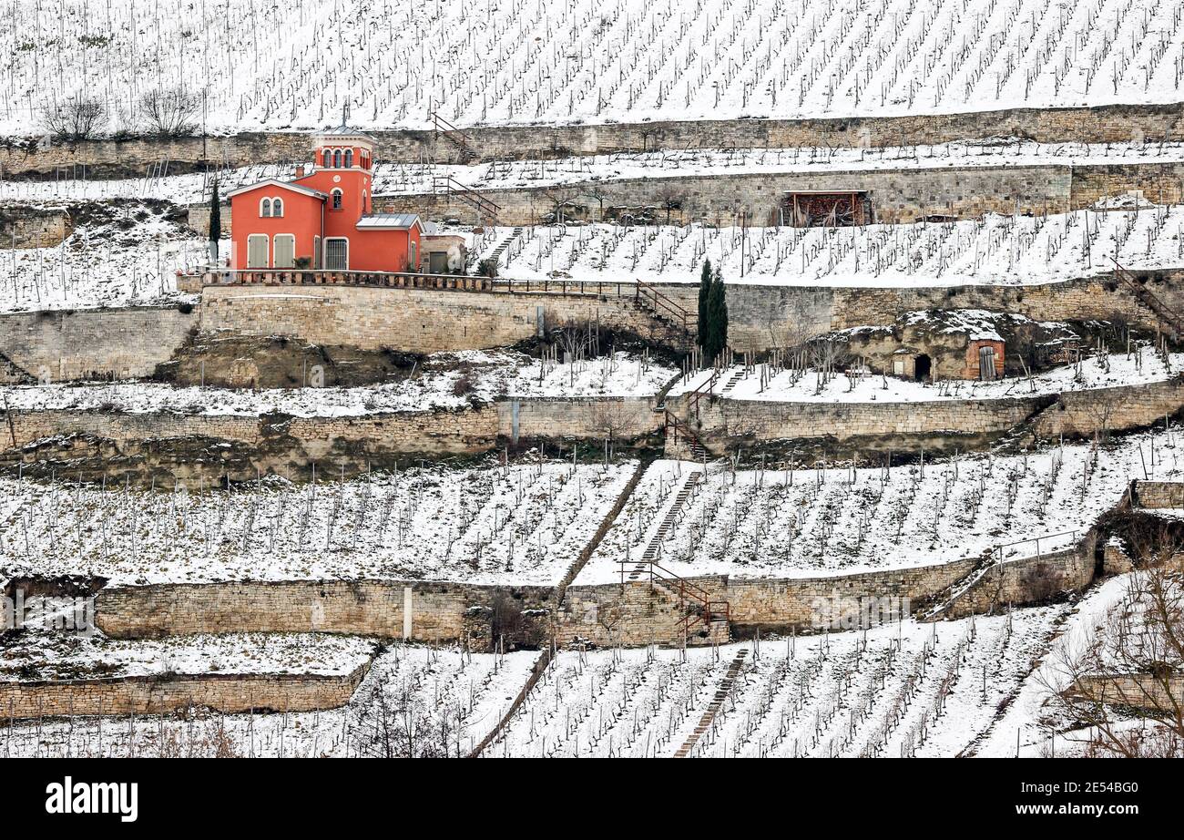 Freyburg, Allemagne. 26 janvier 2021. Un cottage de vignoble rouge se trouve dans les vignobles enneigés de la vallée d'Unstrut. Credit: Jan Woitas/dpa-Zentralbild/dpa/Alay Live News Banque D'Images