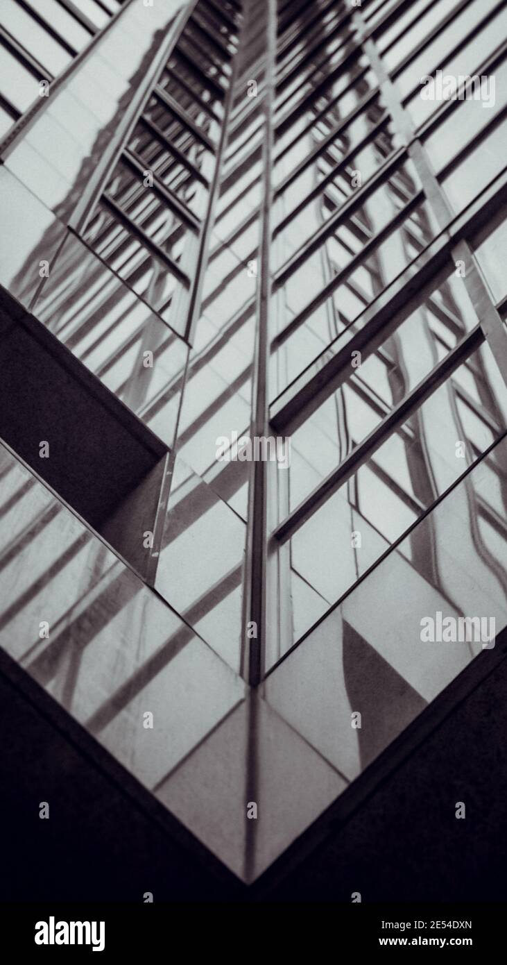 Vue verticale en niveaux de gris des fenêtres d'un bâtiment Banque D'Images