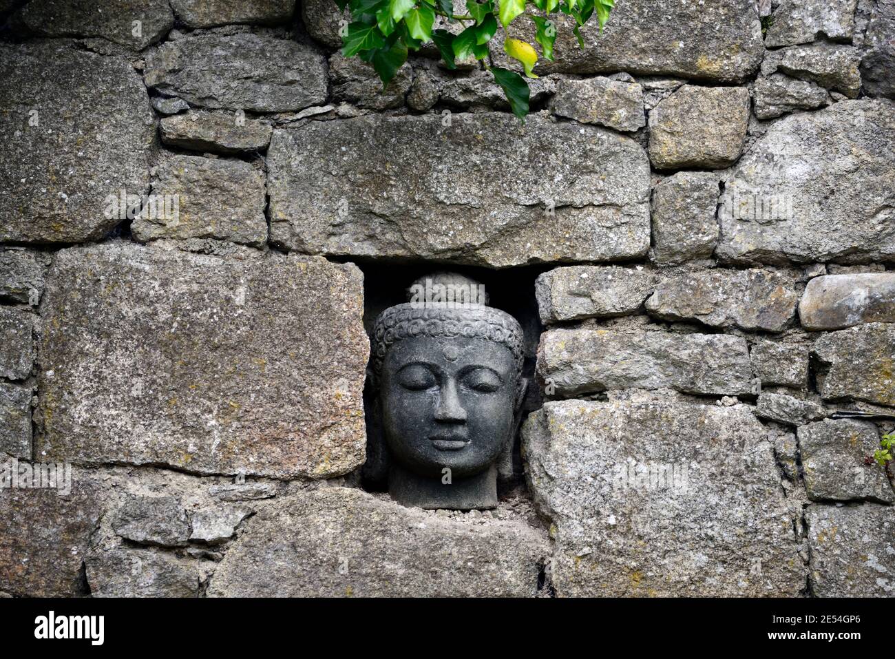 Incrustation de tête de bouddha, incrusté dans le mur, mur, exposition, tête de bouddha, statue, insert, contemplation tranquille, jardin, jardins, jardin, jardin, RM Floral Banque D'Images