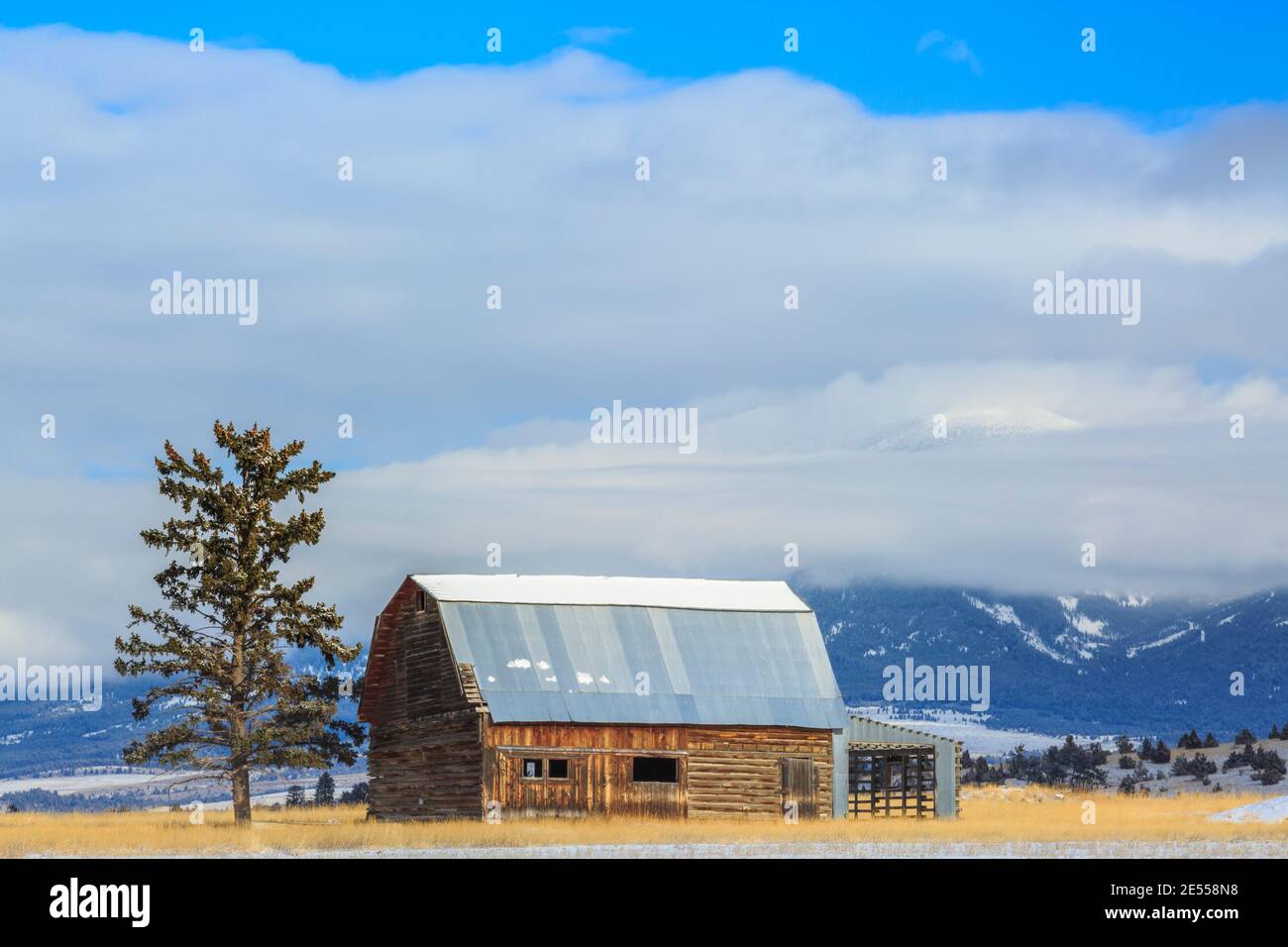 ancienne grange en hiver sous le mont baldy émergeant à travers les nuages bas près de townsend, montana Banque D'Images