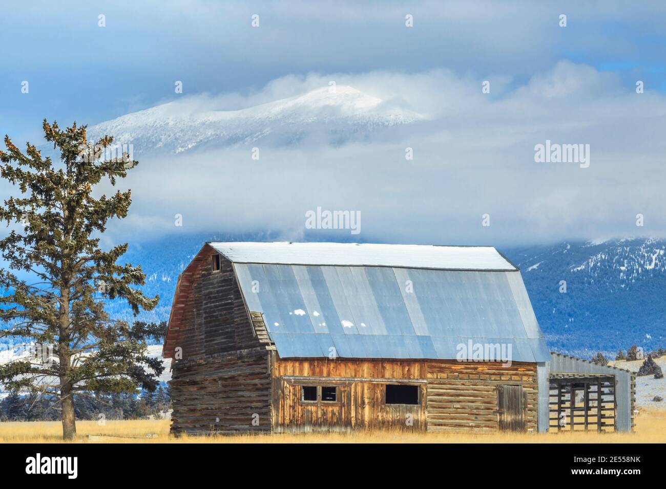 ancienne grange en hiver sous le mont baldy émergeant à travers les nuages bas près de townsend, montana Banque D'Images