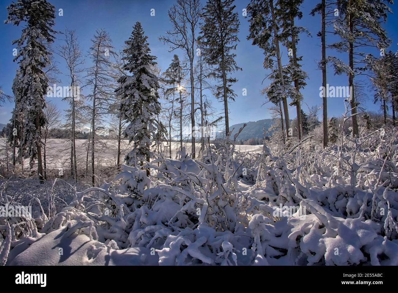 DE - BAVIÈRE: Scène d'hiver à Buchberg près de Bad Toelz (HDR-image) Banque D'Images