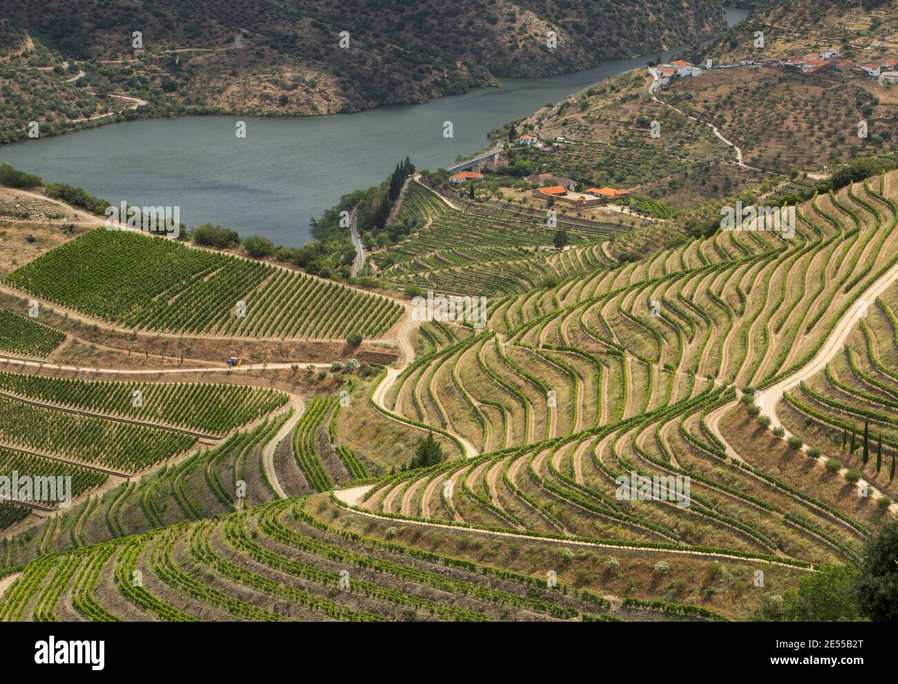 Paysage pittoresque des vignobles de l'Alto Douro - Patrimoine mondial de l'UNESCO. Alto Douro Vinhateiro, Portugal. Banque D'Images