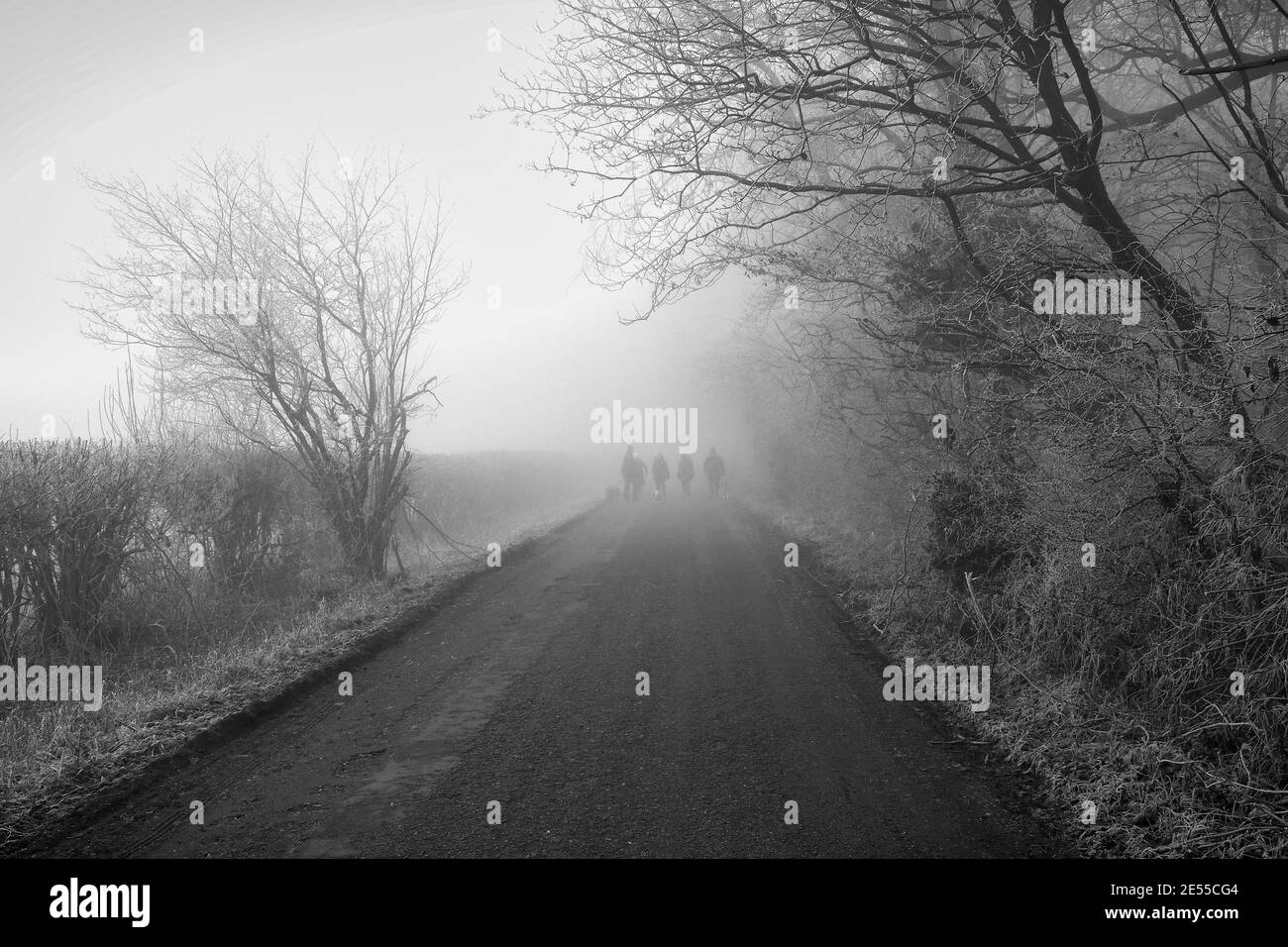 Figures de l'ombre paysages d'hiver dans le sud de l'Angleterre Royaume-Uni champs de campagne enneigés avec arbres et clôtures Banque D'Images