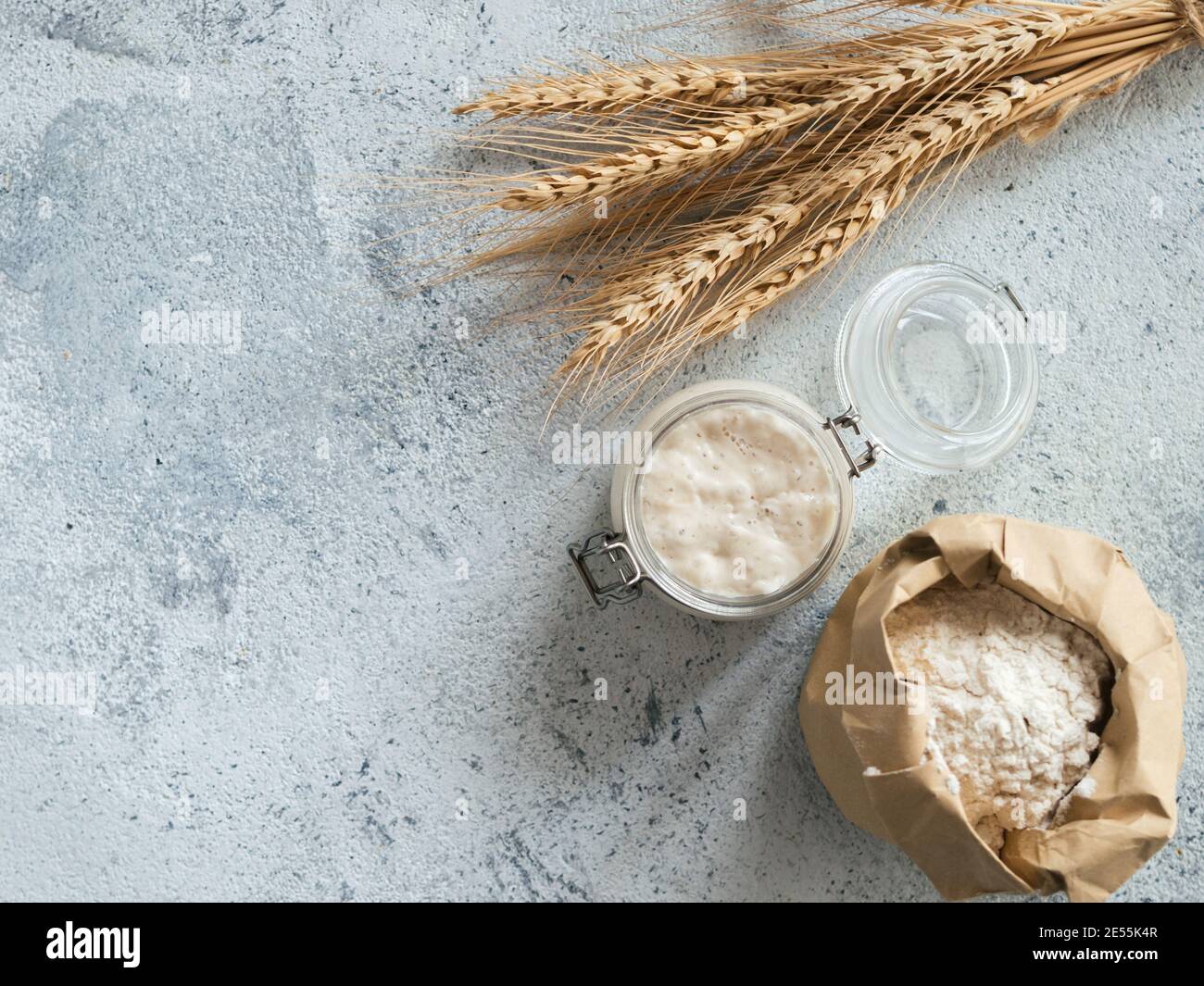 Démarreur de levain de blé. Vue de dessus des ingrédients de fabrication du pain - bol en verre avec entrée de levain, farine dans un sac en papier et oreilles sur fond de ciment gris. Copier l'espace pour le texte ou la conception. Banque D'Images