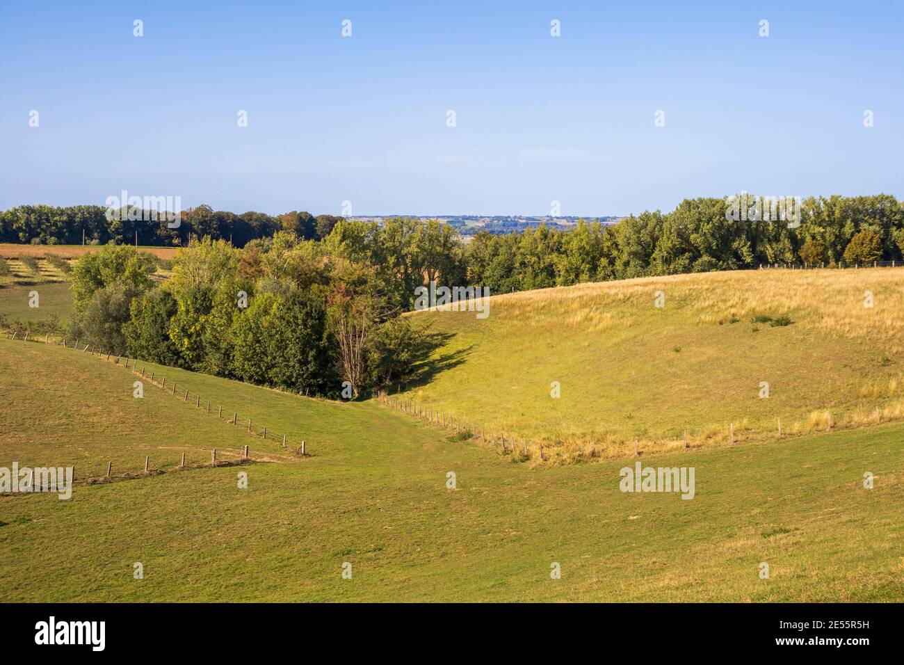 Vue près de l'Hotond, sur le Panoramaroute, un sentier de randonnée dans les Ardennes flamandes, à partir de Kwaremont, Flandre orientale, Belgique. Photo D.V. Banque D'Images